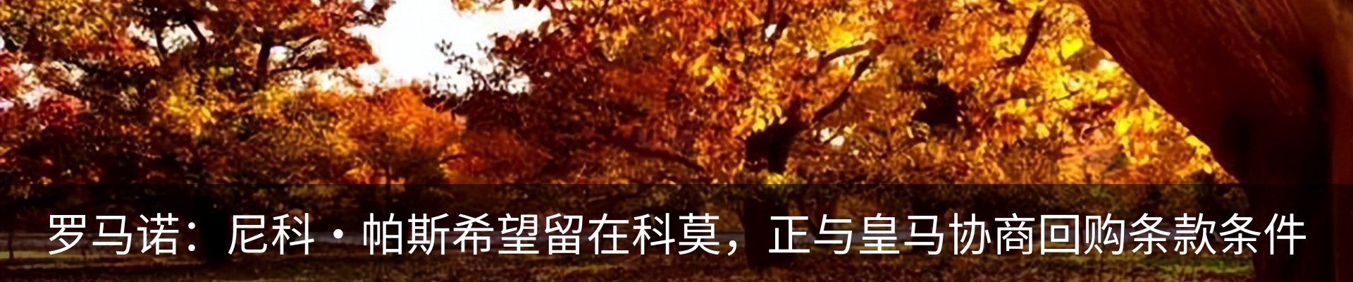 内页banner