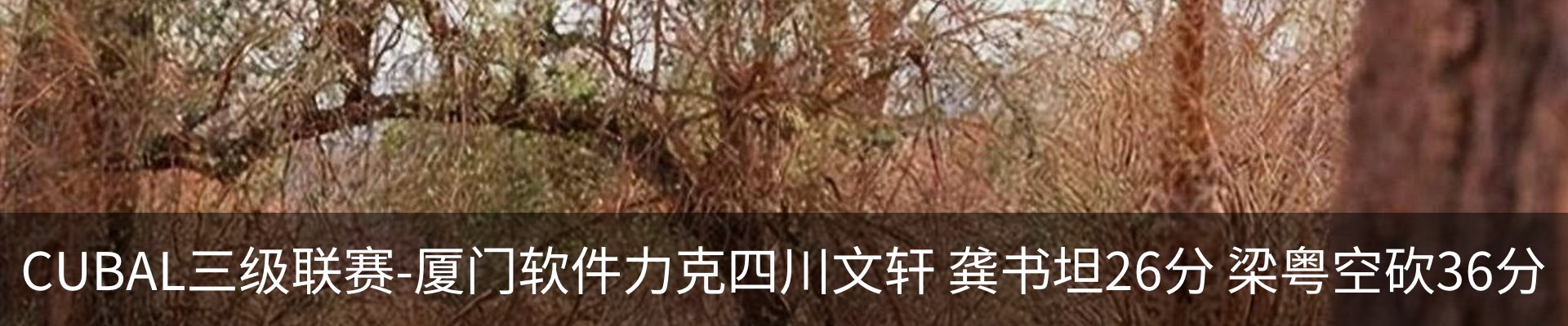 内页banner
